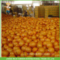 Professional Supply Sweet Fresh Honey Pomelo